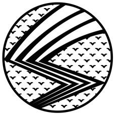 Hawks Swarm Logo