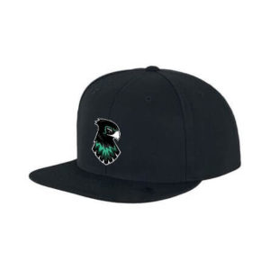 Hawks snapback Classic