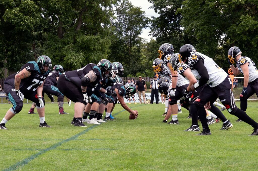 Falcons at Hawks