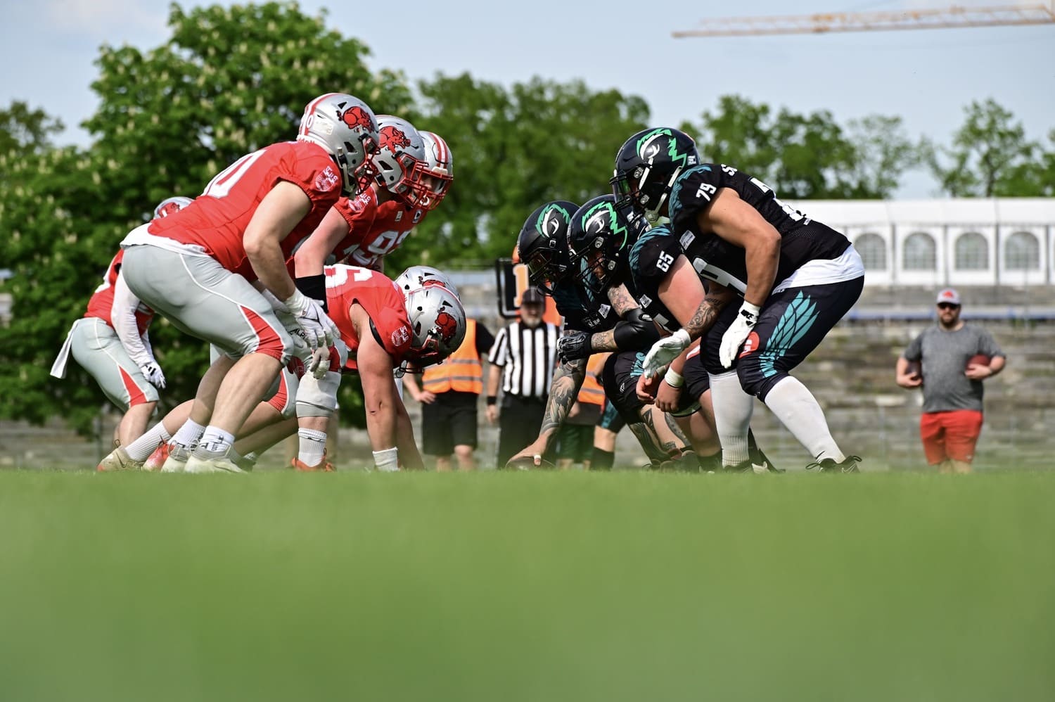 Fursty Razorbacks at Nürnberg Hawks